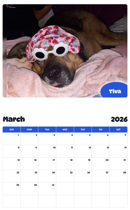 November 2025 - October 2026 Ylva - Pawidols Pet Calendar