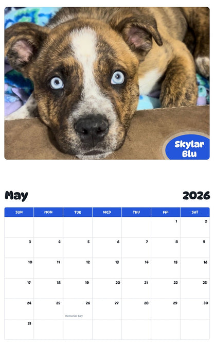 2026 - 2027 Skylar Blu - Pawidols Pet Calendar