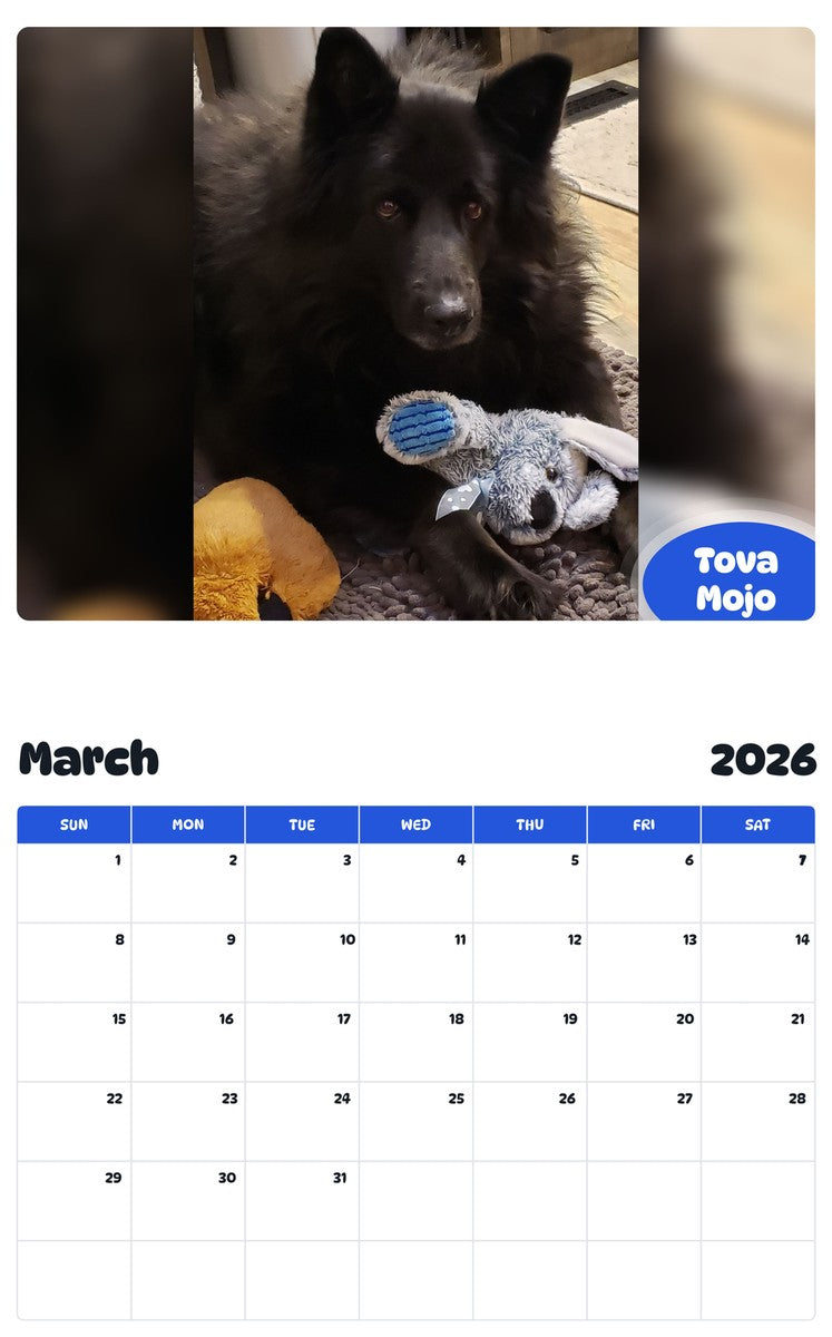 November 2025 - October 2026 Tova Mojo - Pawidols Pet Calendar