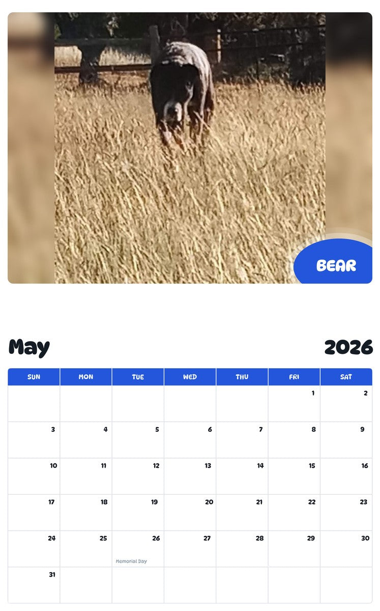 2026 - 2027 BEAR - Pawidols Pet Calendar