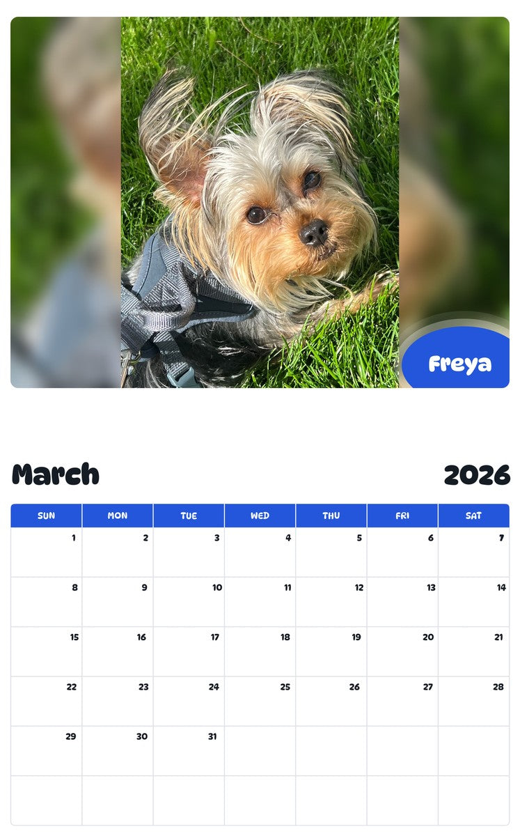 November 2025 - October 2026 Freya - Pawidols Pet Calendar