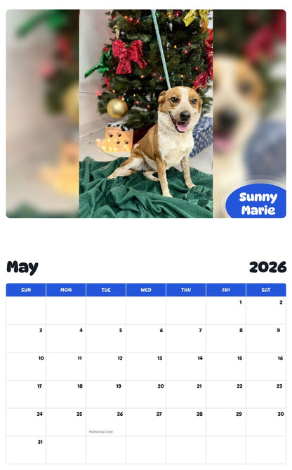 2026 - 2027 Sunny Marie - Pawidols Pet Calendar