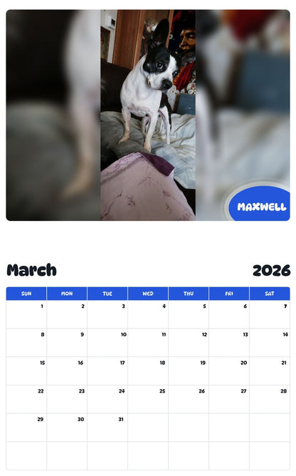 November 2025 - October 2026 MAXWELL - Pawidols Pet Calendar
