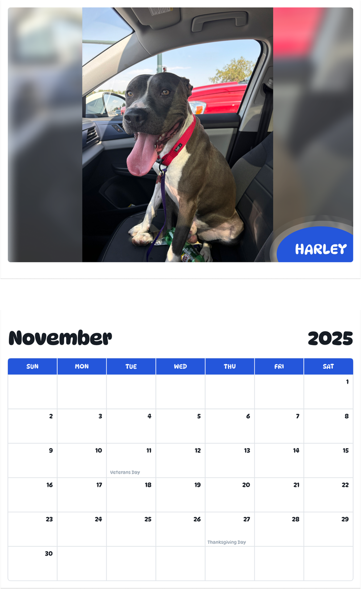July 2025 - June 2026 Harley - Pawidols Pet Calendar