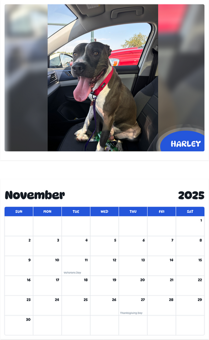 July 2025 - June 2026 Harley - Pawidols Pet Calendar