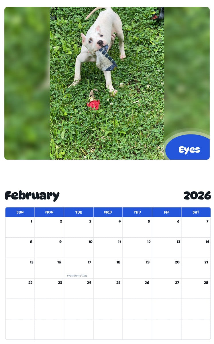 November 2025 - October 2026 Eyes - Pawidols Pet Calendar