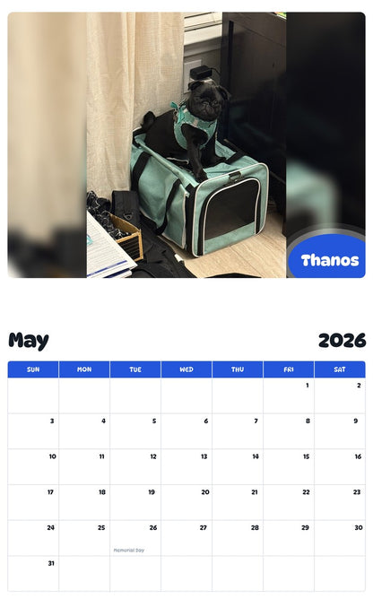 2026 - 2027 Thanos - Pawidols Pet Calendar