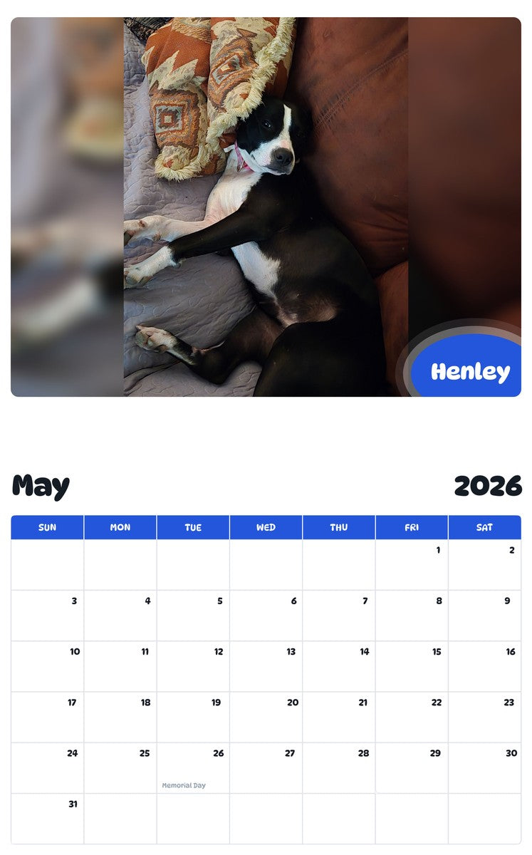 2026 - 2027 Henley - Pawidols Pet Calendar