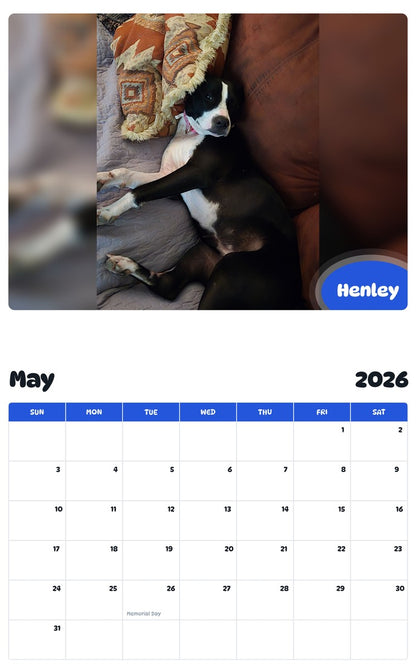 2026 - 2027 Henley - Pawidols Pet Calendar