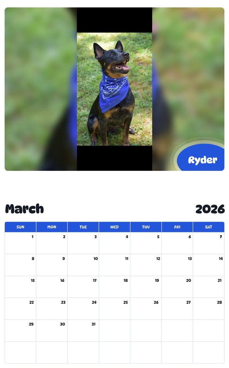 November 2025 - October 2026 Ryder - Pawidols Pet Calendar