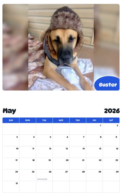 2026 - 2027 Buster - Pawidols Pet Calendar