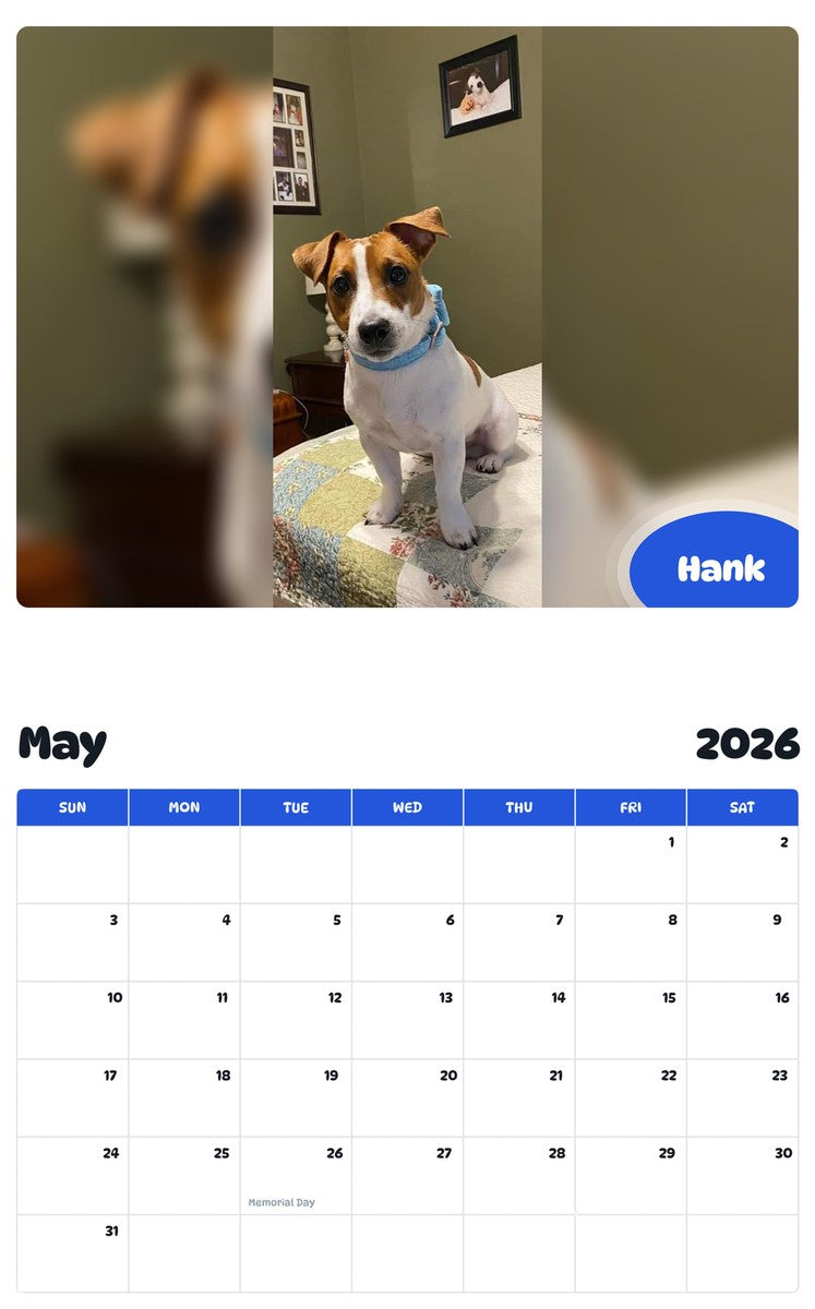 2026 - 2027 Hank - Pawidols Pet Calendar