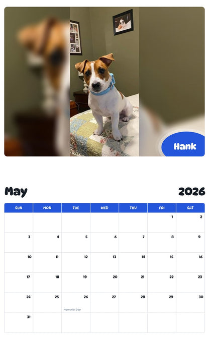 2026 - 2027 Hank - Pawidols Pet Calendar