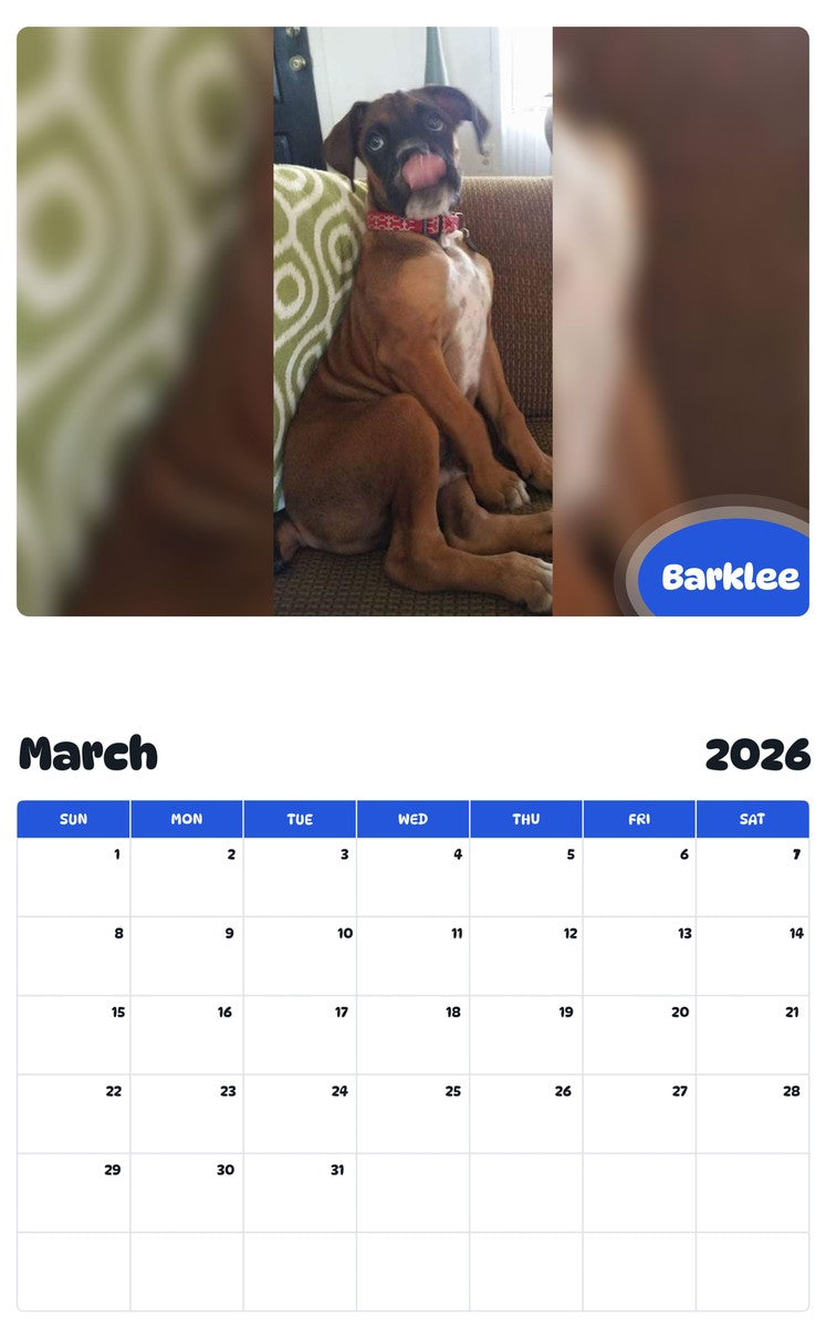 November 2025 - October 2026 Barklee - Pawidols Pet Calendar