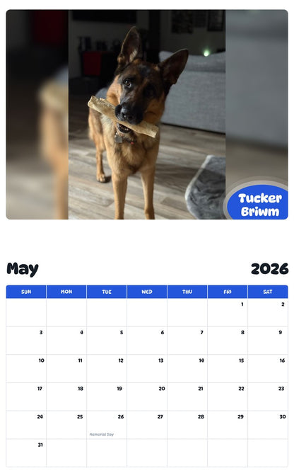 2026 - 2027 Tucker Briwm - Pawidols Pet Calendar