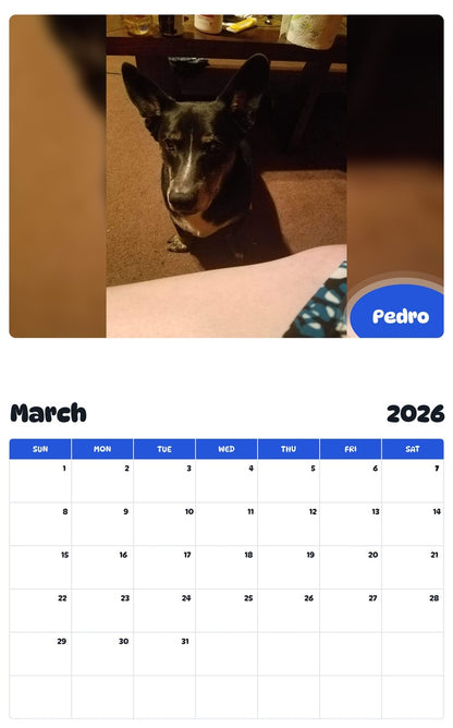 November 2025 - October 2026 Pedro - Pawidols Pet Calendar