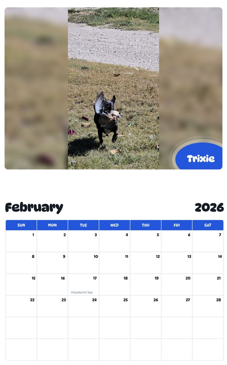 October 2025 - September 2026 Trixie - Pawidols Pet Calendar