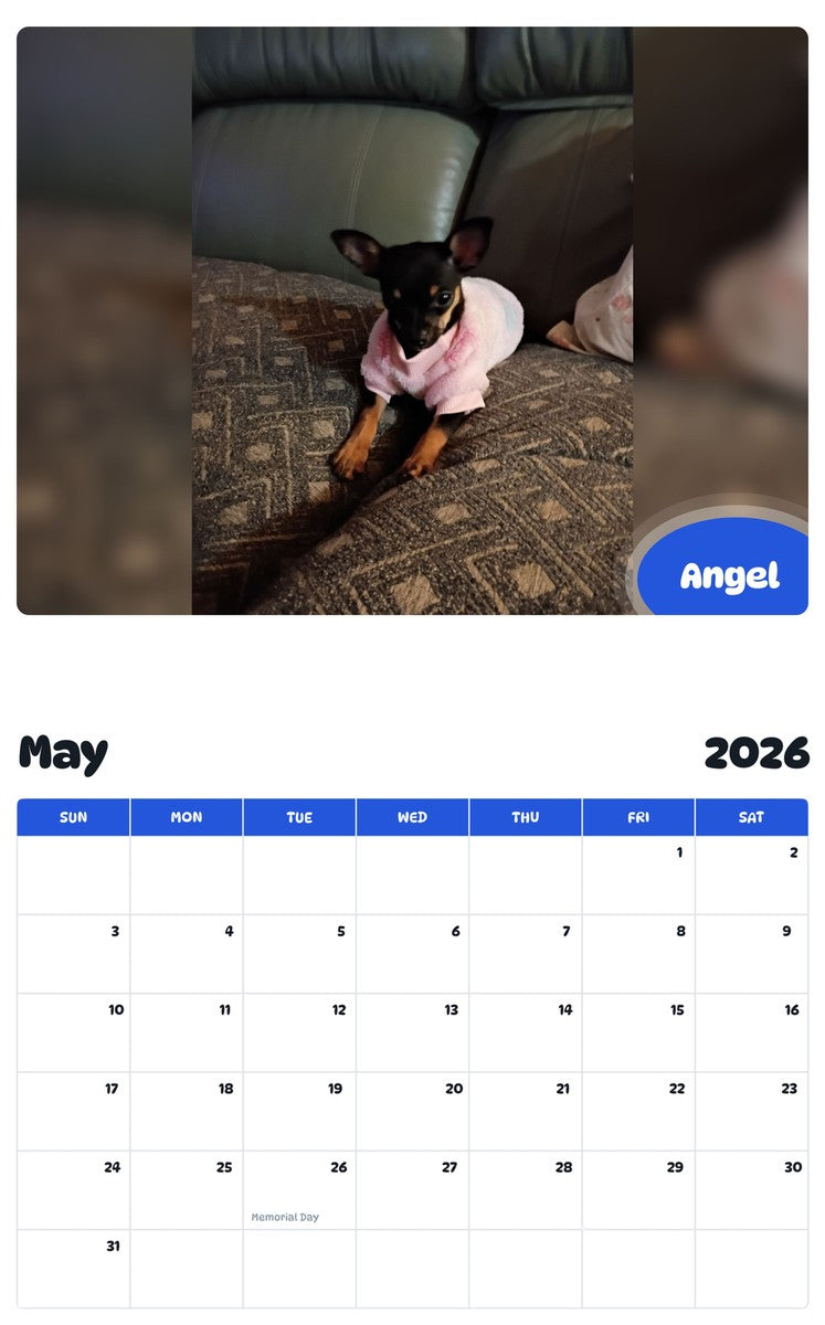 2026 - 2027 Angel - Pawidols Pet Calendar