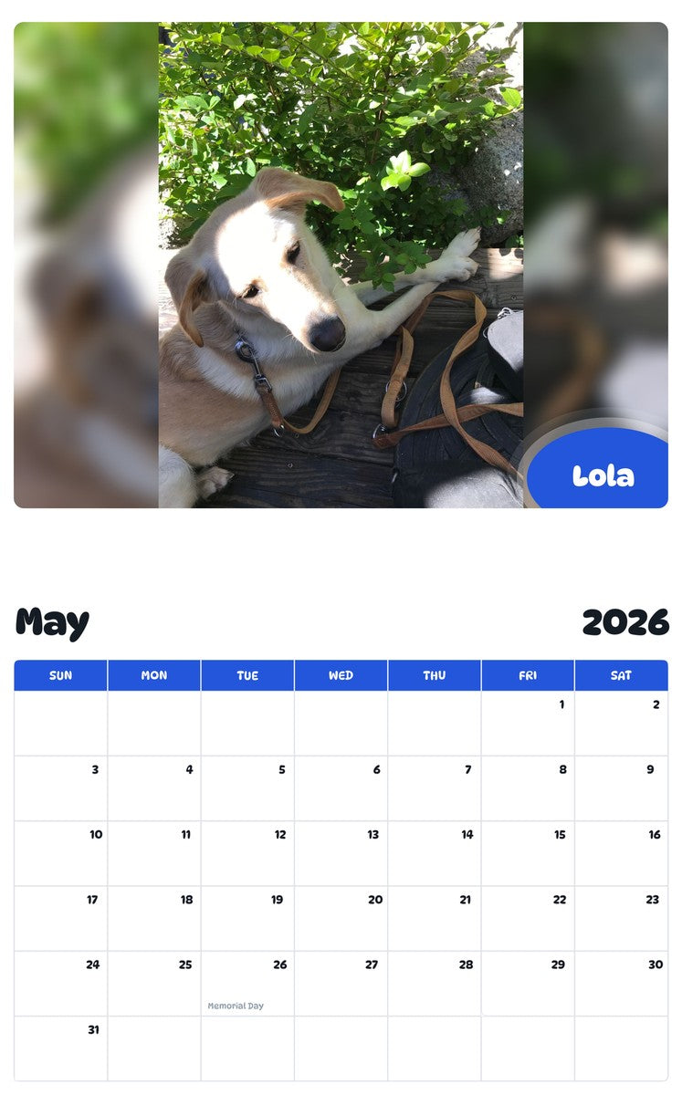 2026 - 2027 Lola - Pawidols Pet Calendar