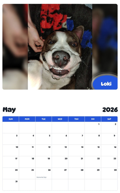 2026 - 2027 Loki - Pawidols Pet Calendar
