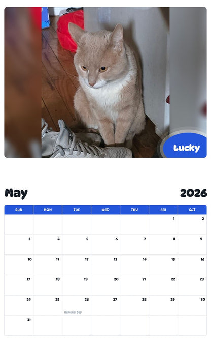 2026 - 2027 Lucky - Pawidols Pet Calendar