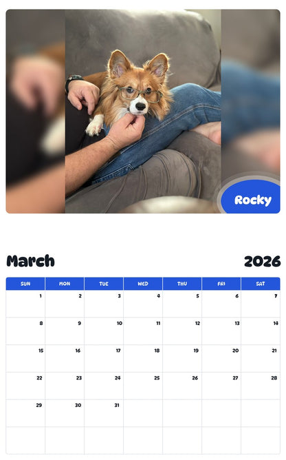 November 2025 - October 2026 Rocky - Pawidols Pet Calendar