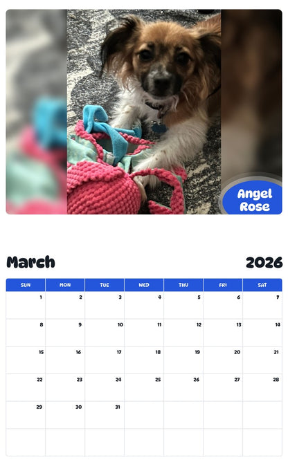 November 2025 - October 2026 Angel Rose - Pawidols Pet Calendar