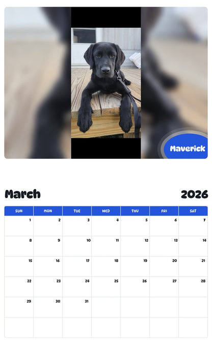 November 2025 - October 2026 Maverick - Pawidols Pet Calendar