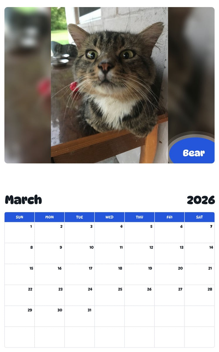 November 2025 - October 2026 Bear - Pawidols Pet Calendar