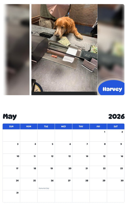 2026 - 2027 Harvey - Pawidols Pet Calendar