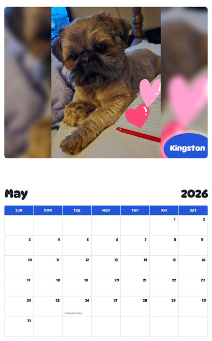 2026 - 2027 Kingston - Pawidols Pet Calendar