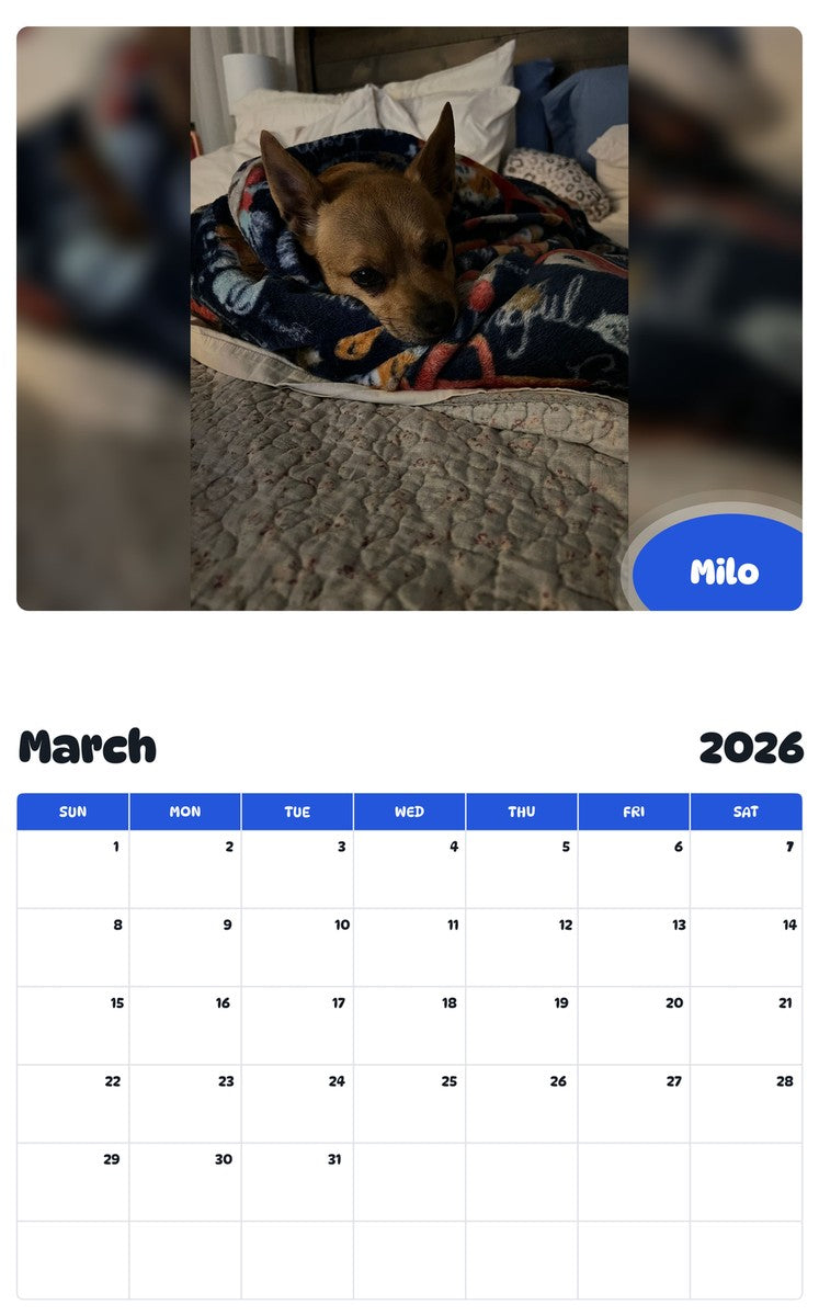 November 2025 - October 2026 Milo - Pawidols Pet Calendar