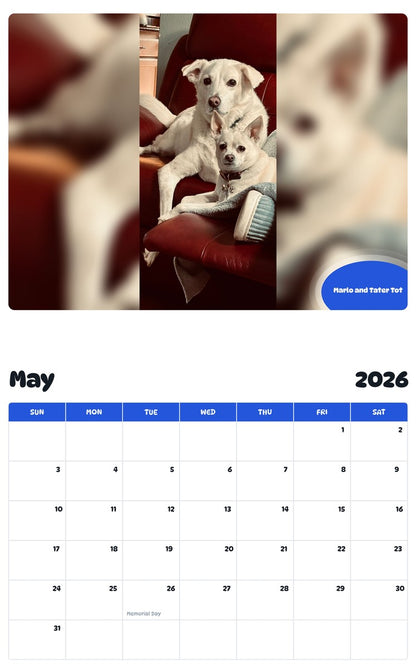 2026 - 2027 Marlo and Tater Tot - Pawidols Pet Calendar