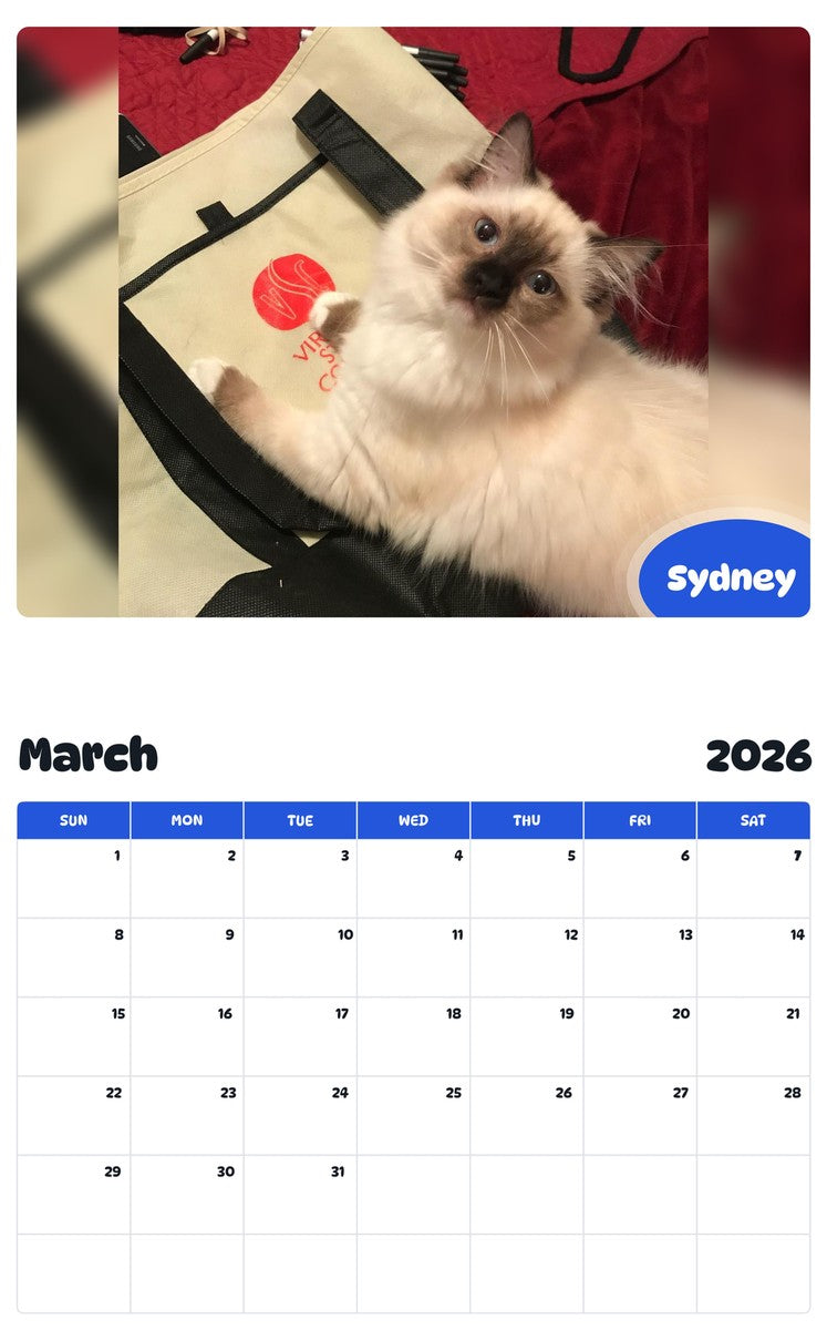November 2025 - October 2026 Sydney - Pawidols Pet Calendar