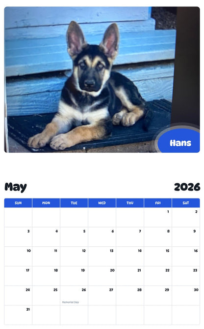 2026 - 2027 Hans - Pawidols Pet Calendar