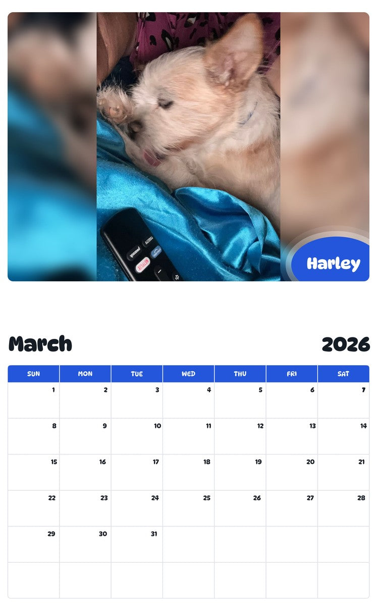 November 2025 - October 2026 Harley - Pawidols Pet Calendar