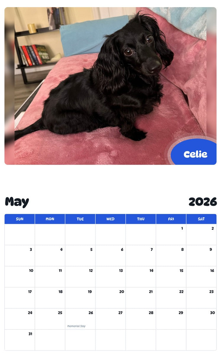 2026 - 2027 Celie - Pawidols Pet Calendar