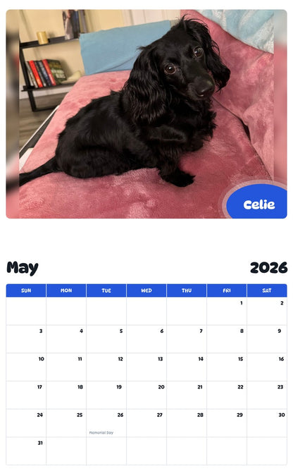 2026 - 2027 Celie - Pawidols Pet Calendar