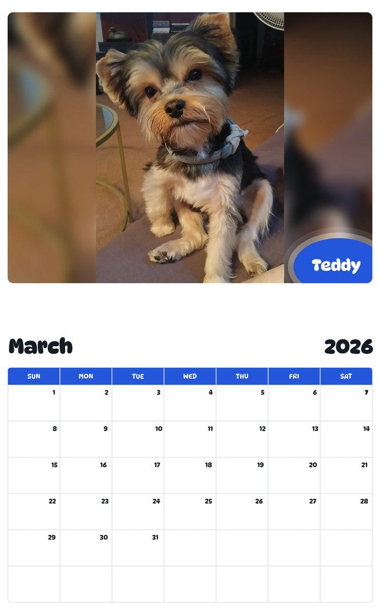 November 2025 - October 2026 Teddy - Pawidols Pet Calendar