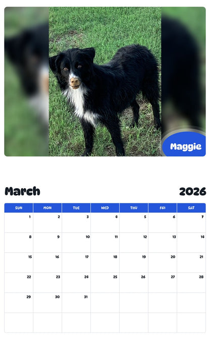 November 2025 - October 2026 Maggie - Pawidols Pet Calendar