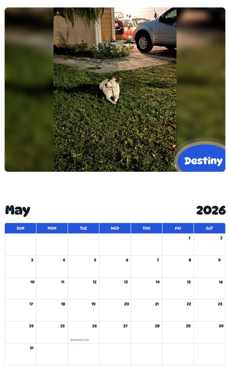 2026 - 2027 Destiny - Pawidols Pet Calendar