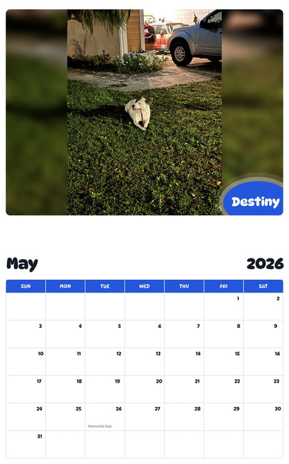 2026 - 2027 Destiny - Pawidols Pet Calendar