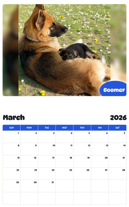 November 2025 - October 2026 Boomer - Pawidols Pet Calendar
