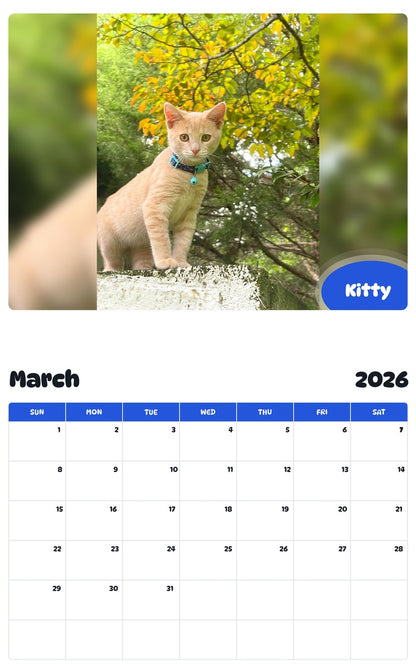 November 2025 - October 2026 Kitty - Pawidols Pet Calendar
