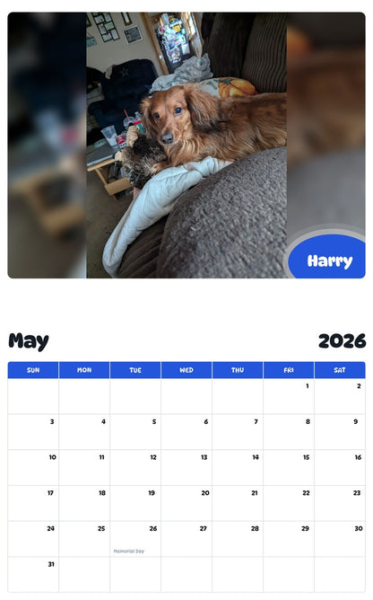 2026 - 2027 Harry - Pawidols Pet Calendar