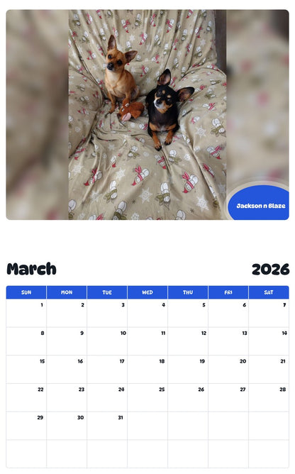 November 2025 - October 2026 Jackson n Blaze - Pawidols Pet Calendar