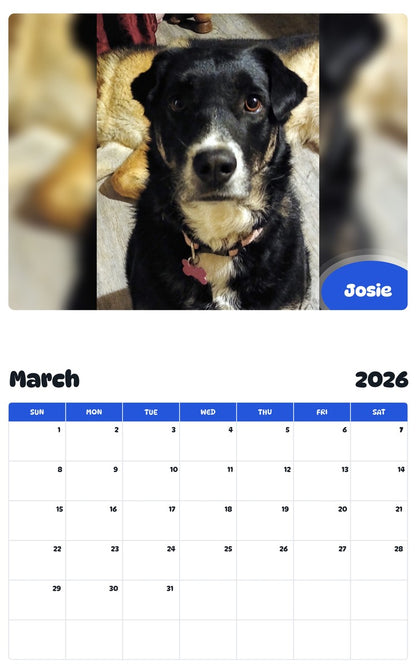 November 2025 - October 2026 Josie - Pawidols Pet Calendar