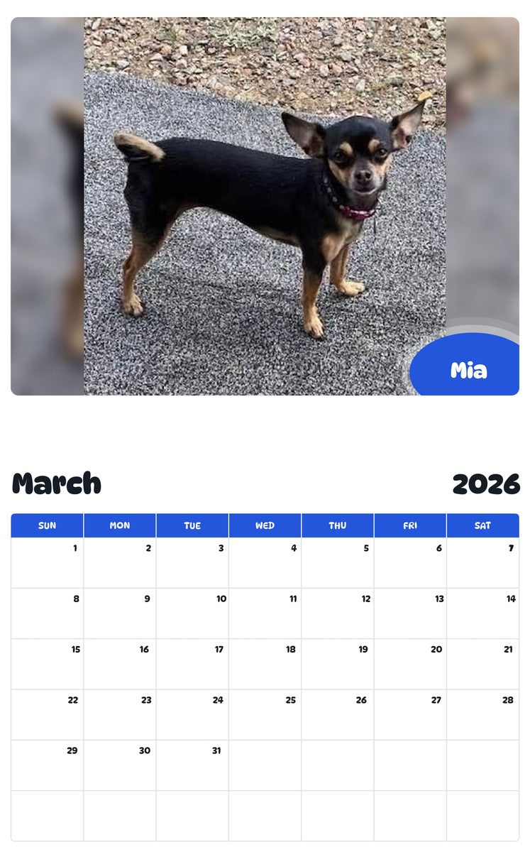 November 2025 - October 2026 Mia - Pawidols Pet Calendar