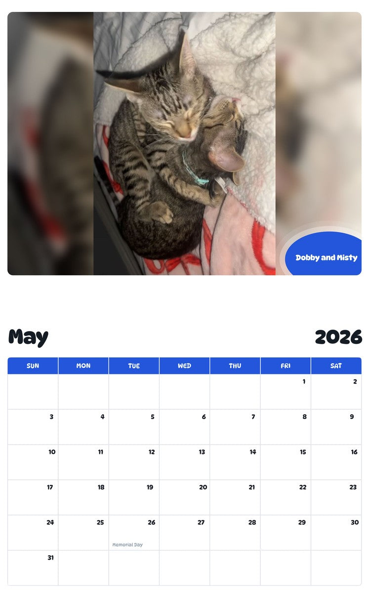 2026 - 2027 Dobby and Misty - Pawidols Pet Calendar