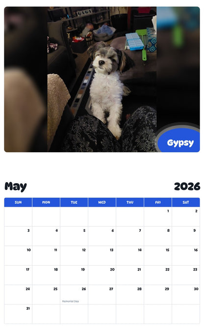 2026 - 2027 Gypsy - Pawidols Pet Calendar